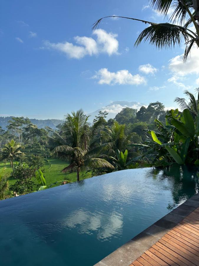 Nana Suites Villa Sidemen  Exterior foto