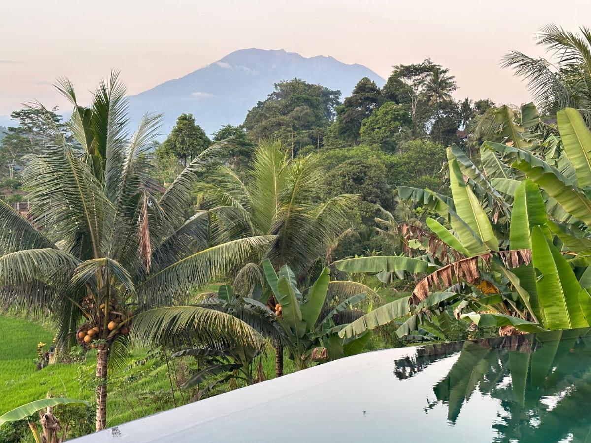 Nana Suites Villa Sidemen  Exterior foto